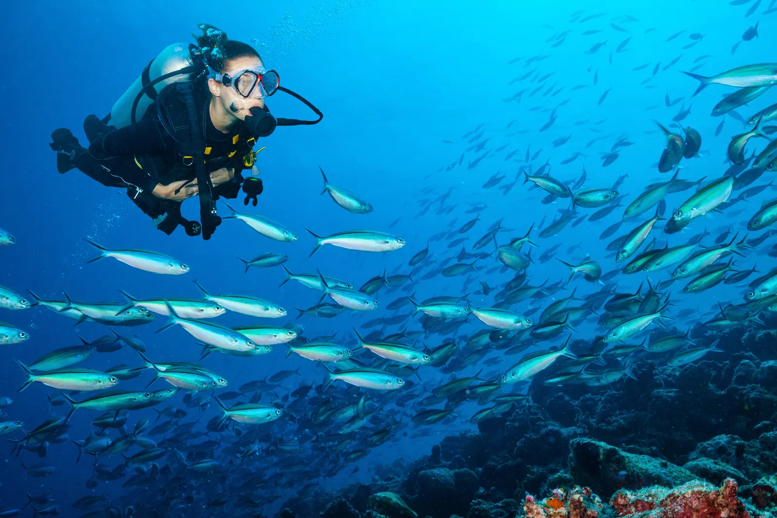 Scuba Diving in Curaçao
